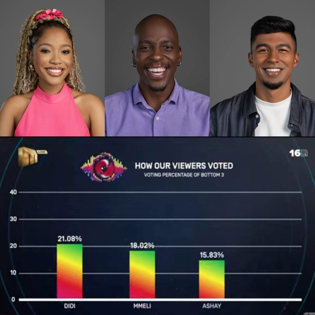 Week 9 big brother Mzansi season 6 exits